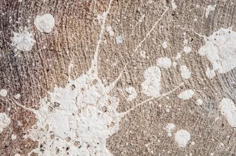 Background Paint splatter on concrete Stock Photos