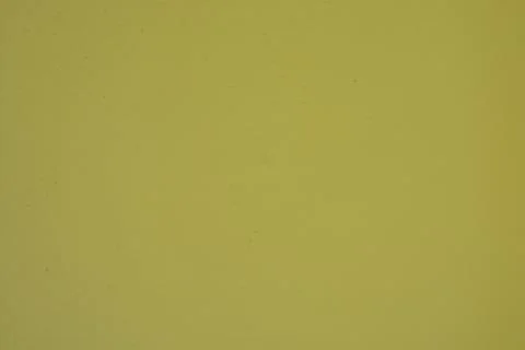 Background, painted wall plaster. Stock Photos