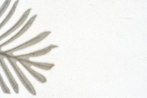 Background of palm leaf shadow on light beach sand with a place for text. T.. Stock Photos