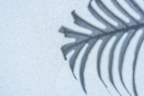 Background of palm leaf shadow on light beach sand with a place for text. T.. Stock-Fotos