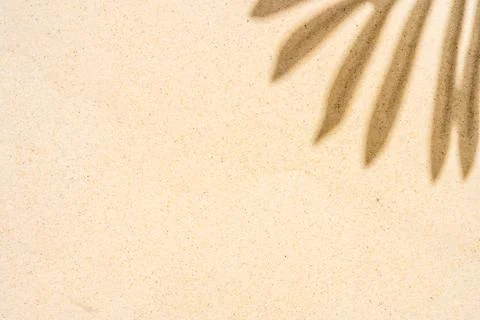 Background of palm leaf shadow on light beach sand with a place for text. T.. Stock-Fotos