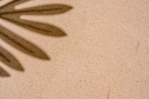 Background of palm leaf shadow on light beach sand with a place for text. T.. Stock-Fotos