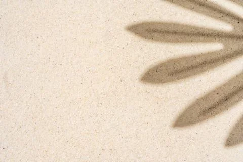 Background of palm leaf shadow on light beach sand with a place for text. T.. Stock-Fotos