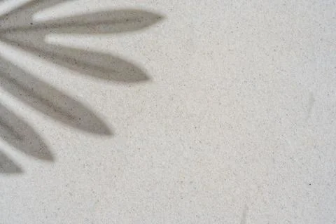 Background of palm leaf shadow on light beach sand with a place for text. T.. Foto stock