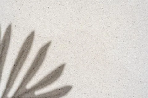 Background of palm leaf shadow on light beach sand with a place for text. T.. Foto stock