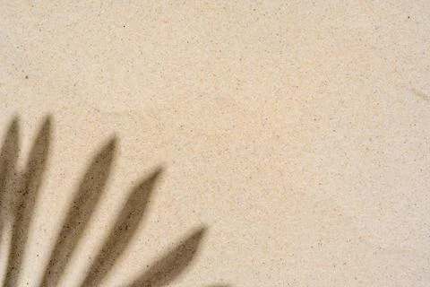 Background of palm leaf shadow on light beach sand with a place for text. T.. Stock-Fotos