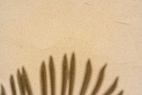 Background of palm leaf shadow on light beach sand with a place for text. T.. Stock-Fotos