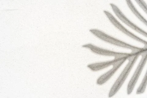 Background of palm leaf shadow on light beach sand with a place for text. T.. Stock-Fotos