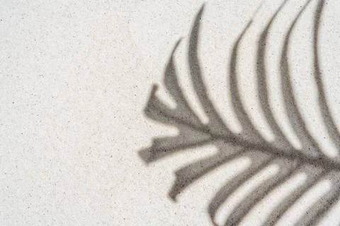 Background of palm leaf shadow on light beach sand with a place for text. T.. Stock-Fotos