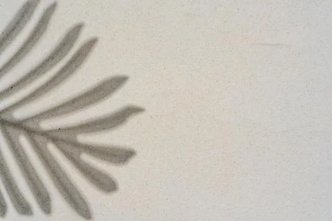 Background of palm leaf shadow on light beach sand with a place for text. T.. Stock-Fotos