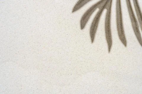 Background of palm leaf shadow on light beach sand with a place for text. T.. Stock-Fotos