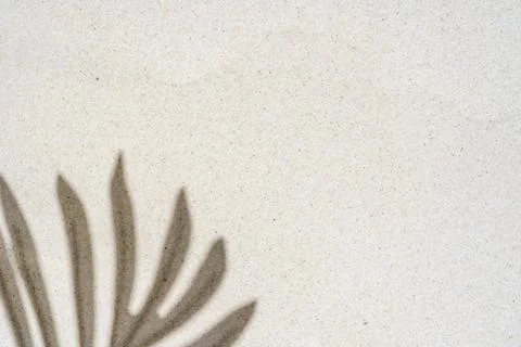 Background of palm leaf shadow on light beach sand with a place for text. T.. Stock-Fotos