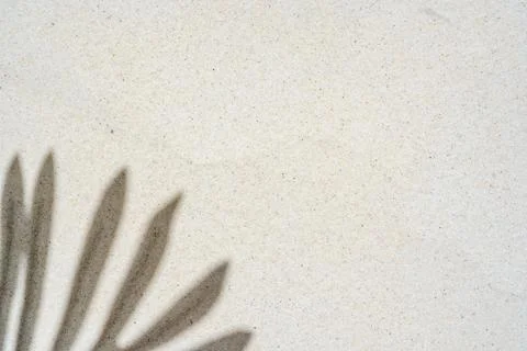 Background of palm leaf shadow on light beach sand with a place for text. T.. Foto stock