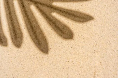 Background of palm leaf shadow on light beach sand with a place for text. T.. Stock-Fotos