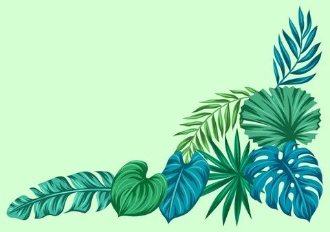 Background with palm leaves. Decorative image of tropical foliage and plants. Stock Illustration