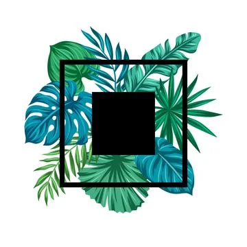 Background with palm leaves. Decorative image of tropical foliage and plants. Stock Illustration