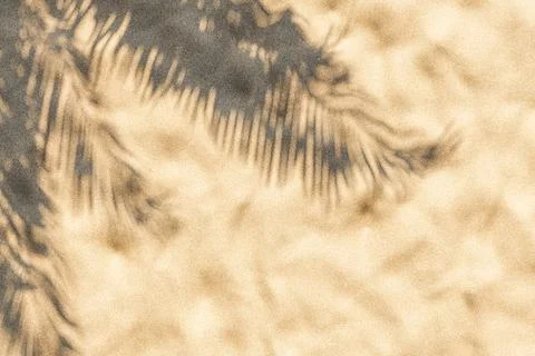 Background of palm tree shadow on sandy seashore in sunlight Stock Photos