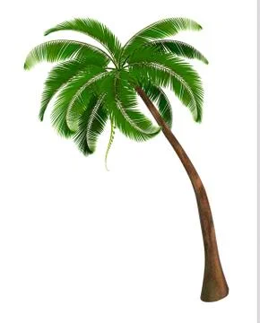 Background with a palm tree. vector illustration Stock Illustration