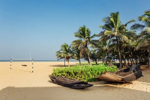 Background palm trees on beach Stock Photos