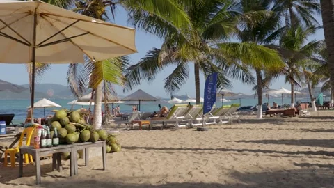 Background palm trees, sea, beach and sun loungers 스톡 동영상 262533045