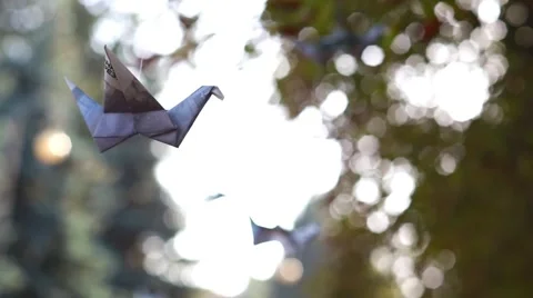 Background Paper Bird on the Tree Stock Footage 57966550
