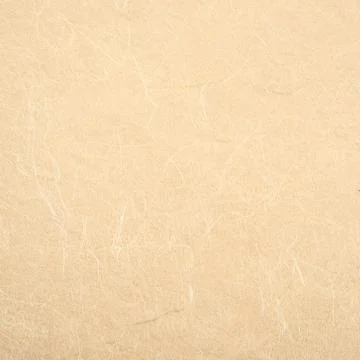 Background of paper texture 스톡 사진