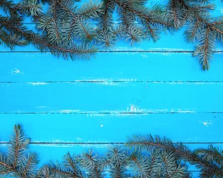 Background of parallel boards and a green spruce branch 库存照片