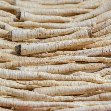 Background parsnip white root, long root vegetables design cooking Stock Photos