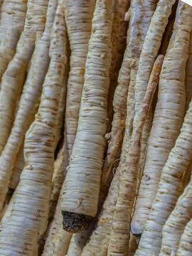 Background parsnip white root, long root vegetables design cooking Stock Photos