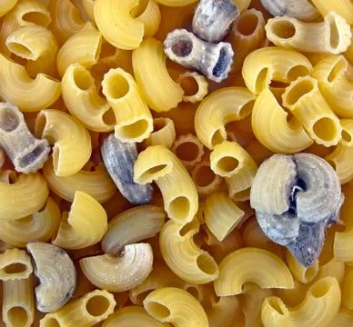 Background from pasta with mold Stock Photos