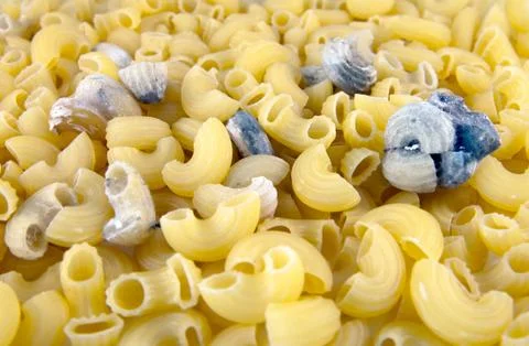 Background from pasta with mold Stock Photos