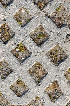 Background from path from tiles in shape of rhombus overgrown with vegetation Stock Photos