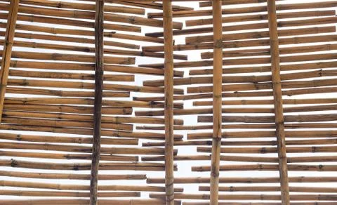 Background pattern of a bamboo Stock Photos