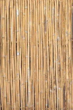 Background pattern of a bamboo Stock Photos