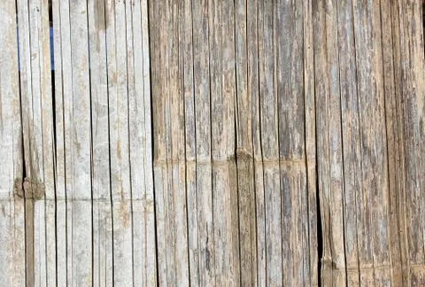 Background pattern of a bamboo Stock Photos