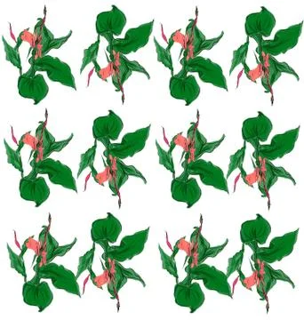 Background pattern with beautiful exotic flowers Stock Illustration
