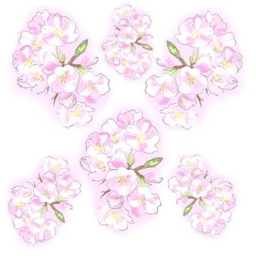 Background pattern with beautiful spring flowers Stock Illustration