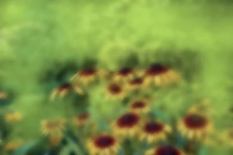 Background pattern from a blur flowers Stock Photos