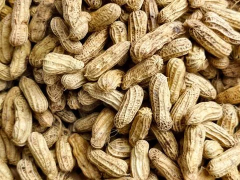 Background pattern of boiled unpeeled peanuts in shells Stock Photos
