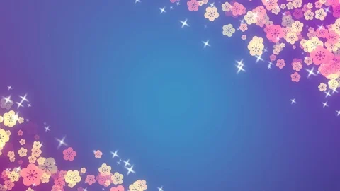 Background pattern of cherry blossoms. Stock Footage 102433253
