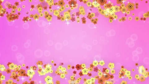 Background pattern of cherry blossoms. Stock Footage 102433931