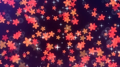 Background pattern of cherry blossoms. Stock Footage 102434913