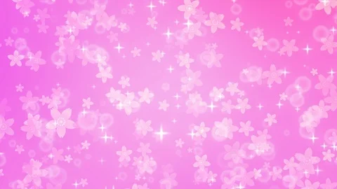 Background pattern of cherry blossoms. Stock Footage 102435594