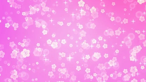 Background pattern of cherry blossoms. Stock Footage 102436138