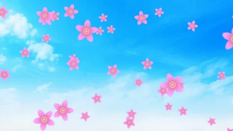 Background pattern of cherry blossoms. Stock Footage 102436618