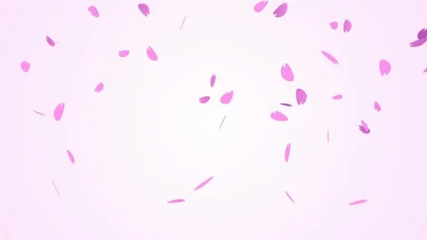 Background pattern of cherry blossoms. Stock Footage 102436679