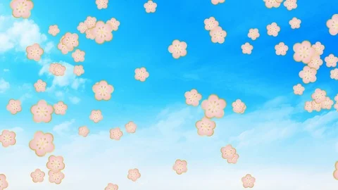 Background pattern of cherry blossoms. Stock Footage 102436725