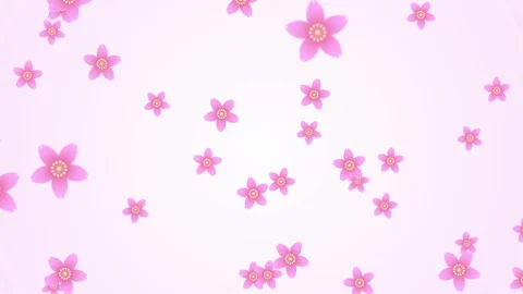 Background pattern of cherry blossoms. Stock Footage 102436777