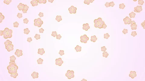 Background pattern of cherry blossoms. Stock Footage 102436881
