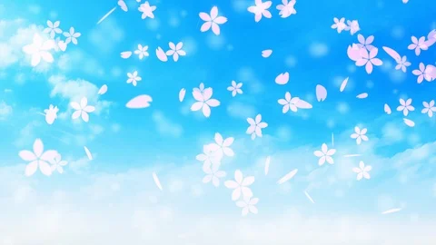 Background pattern of cherry blossoms. Stock Footage 102452542